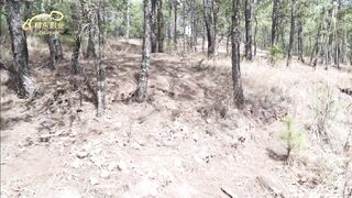 精东影业 JD027 神雕侠侣 1080P - 苏小小