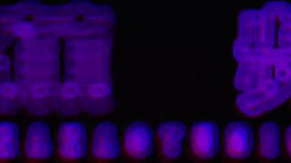 JDSY-199 小水水旅游日记之一起森呼吸