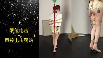 限位电击+声控电击罚站152 捆绑 调教 束缚 绳艺 SM